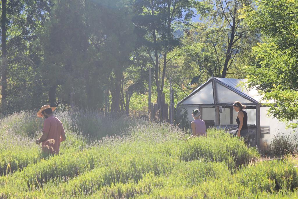 La Casona De Odile Hostel El Bolsón Εξωτερικό φωτογραφία